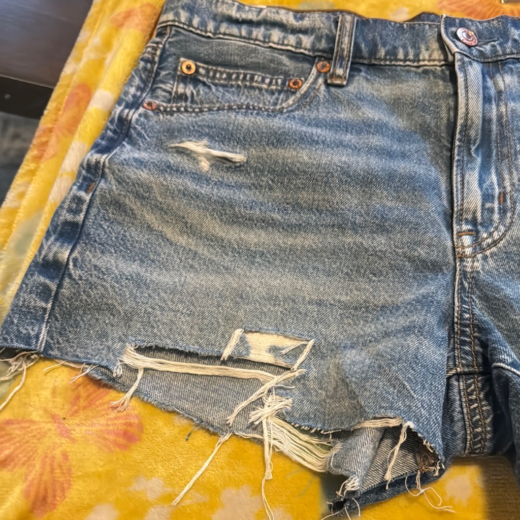 Distressed American Eagle Denim Women Shorts